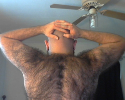 # hairy and horny et pour les BEARS et seux qui les aiment!