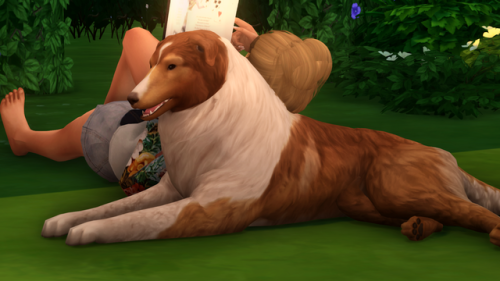 simwithsparkles:Reading fun pose pack4 poses for those...