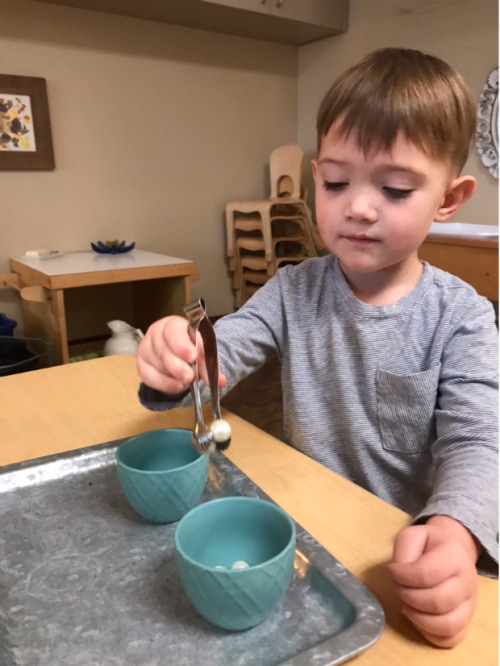 themontessoriacademyofarlington