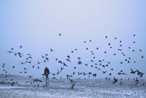 gosh:byLizzy Gadd