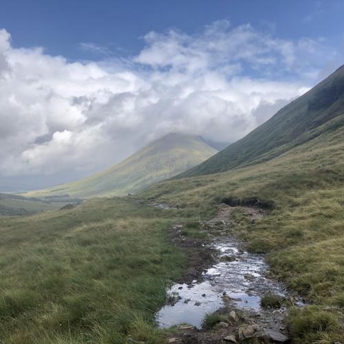 landscapesdaily