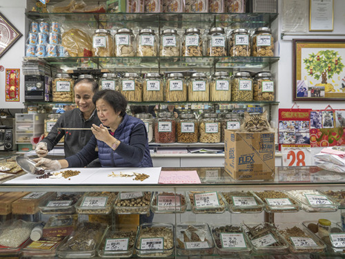 bobbycaputo:These ‘Shop Cats’ In Hong Kong Will Make You...