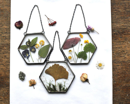 spookyfoxfashion:Hanging Dried Flower Terrariums from MARIAELA