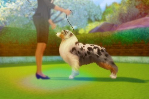 willowsims18