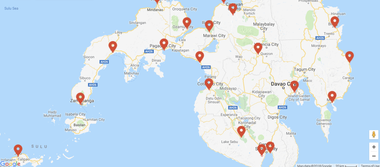 nfz dji map