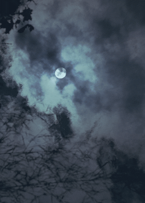 ds9 in the dark moonlight