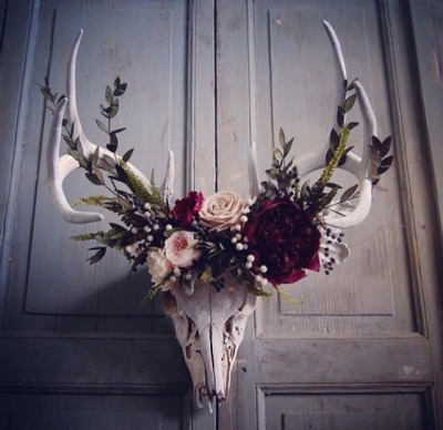 Deer Skull Tumblr