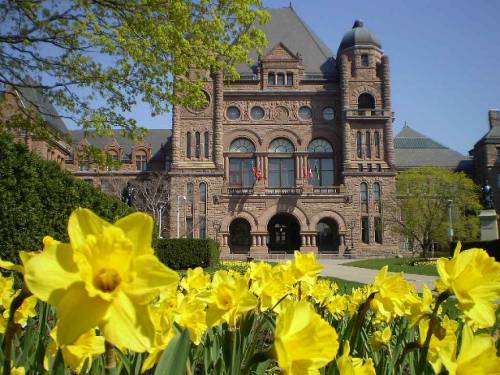witeksphotoscanada