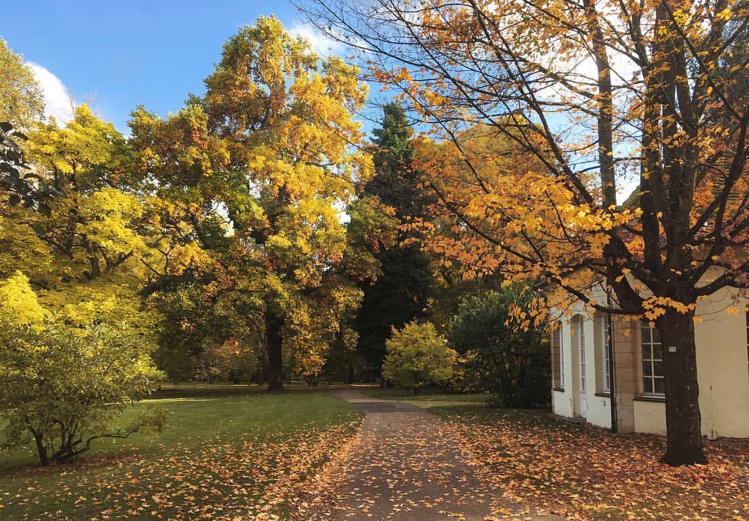 Jenny Unterwegs Fassen Sie Den Herbst In Einem Bild Zusammen