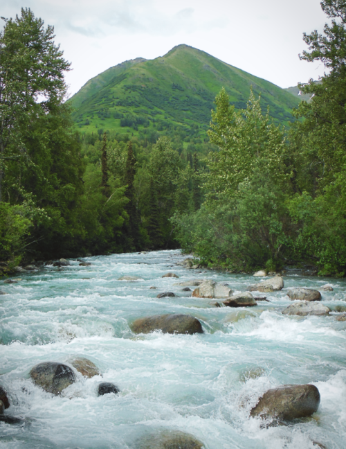 quietphotos:This is one of my favorite places in Alaska! The...