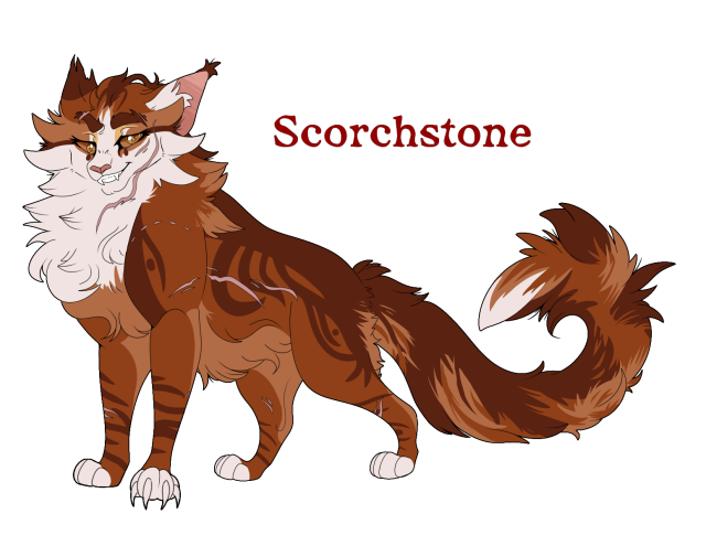 warrior cats oc kit | Tumblr