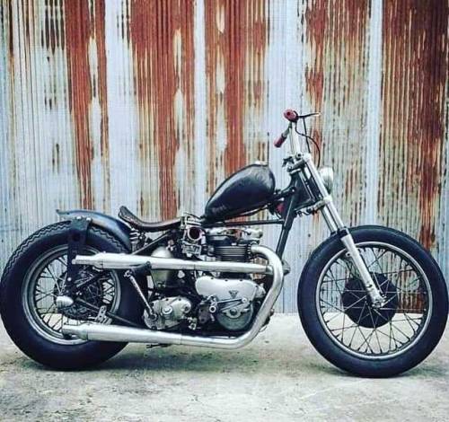 #triumph #chopper #bobber...