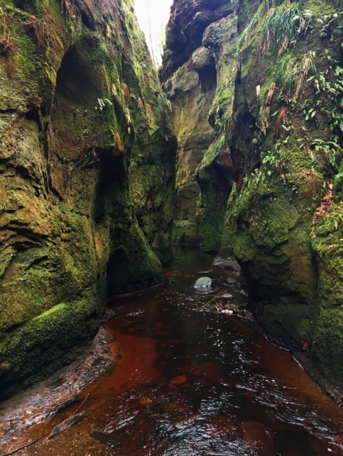 okaycarles:The Devil’s Pulpit//The steps to hell