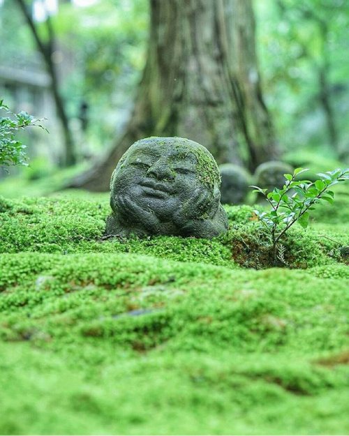 hushed-anomaly:sixpenceee:Jizo statue in the forest (Kyoto,...