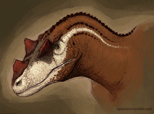 jurassic theropods