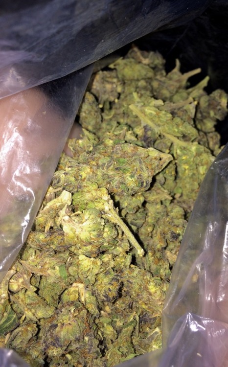 weed bag on Tumblr