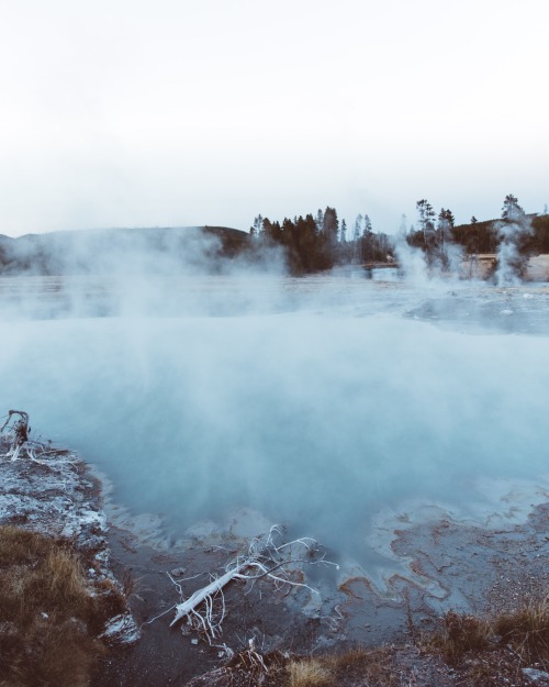 bryandaugherty:Jackson, Wyoming.