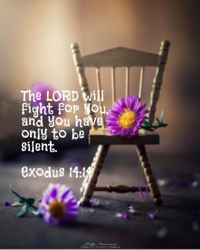 Exodus 14:14