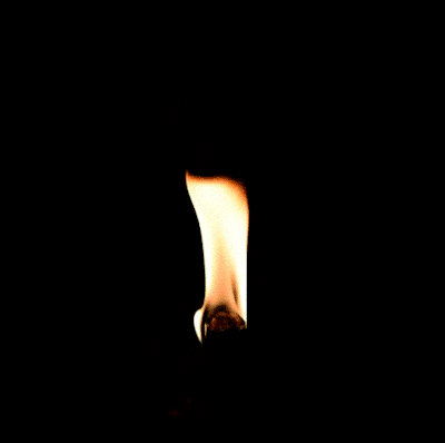 tumblr_inline_p3o1zwaEcs1ug9g8l_400.gif
