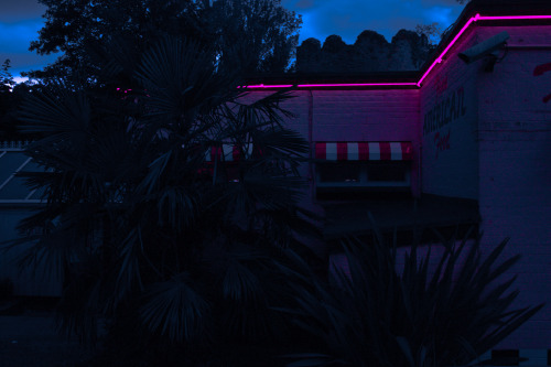 Neon lights on Tumblr
