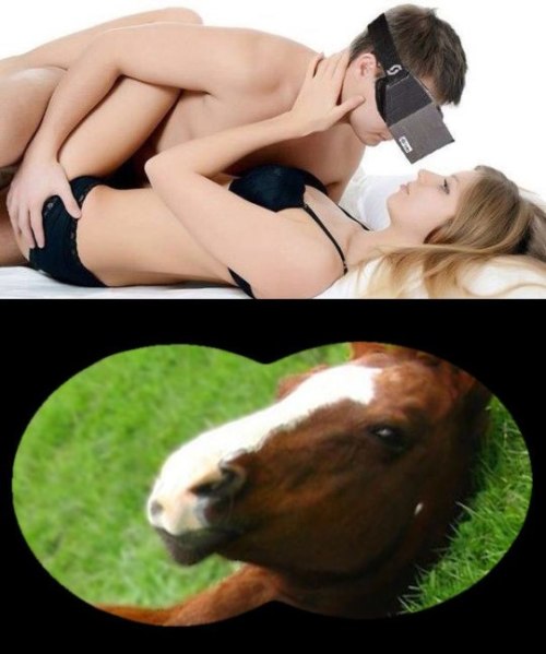 Sarah Jessica Parker relationship simulator.