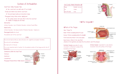 speech language pathology books pdf