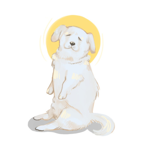 deluxeanxiety:you have been blessed