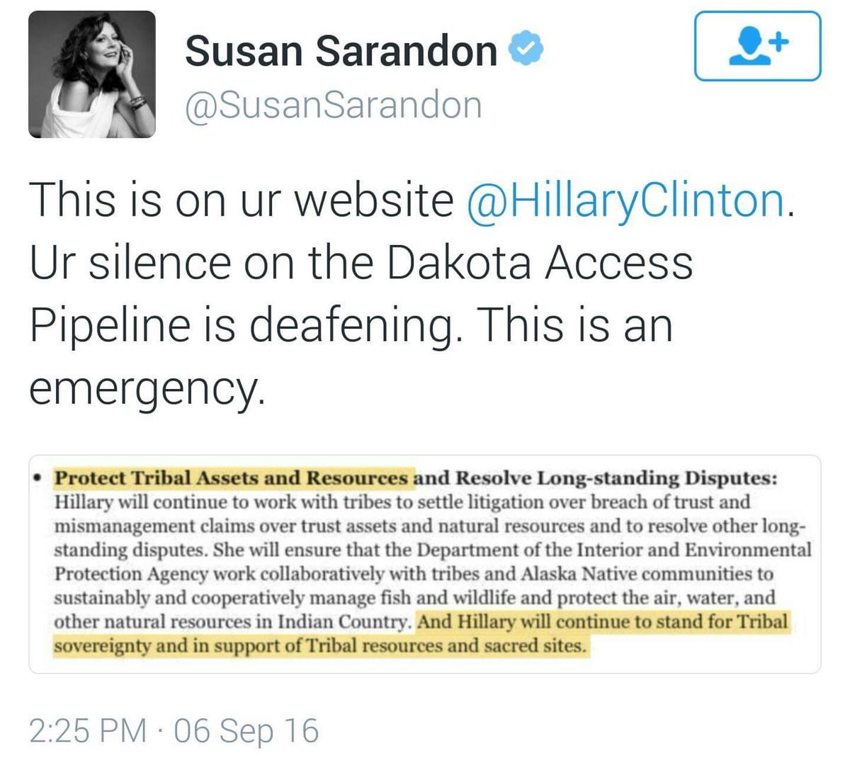 Image result for hillary dapl