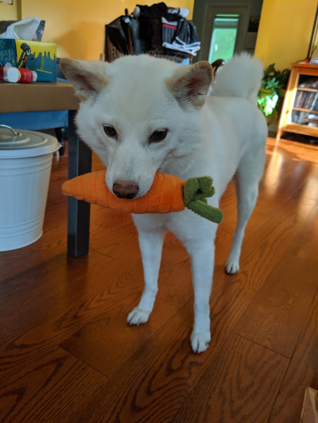 bolt dog toy carrot