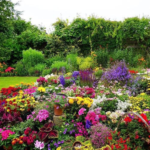 beautiful garden on Tumblr