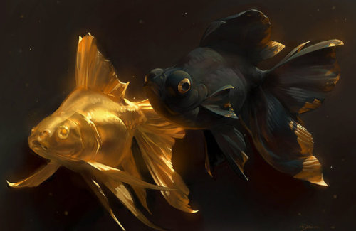 deviantart:“Golden Fishes” by Mr–Jack: http://bit.ly/2BTGHoq A...