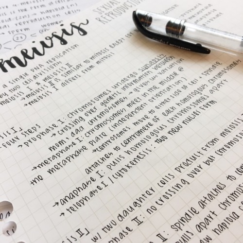 jiyeonstudies:5.16.17 - 44/100messy class notes + slightly...