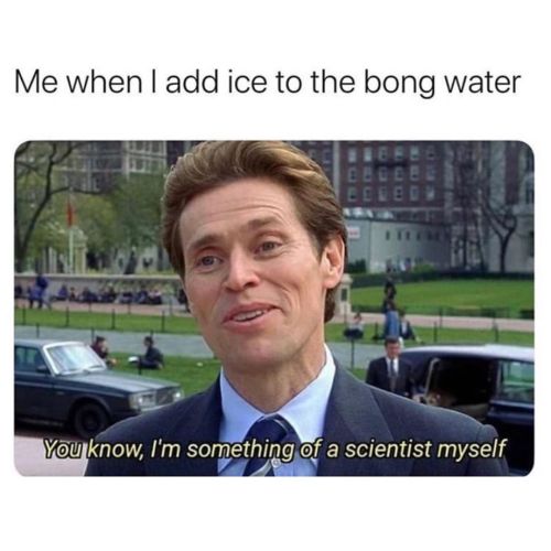 stonerparty