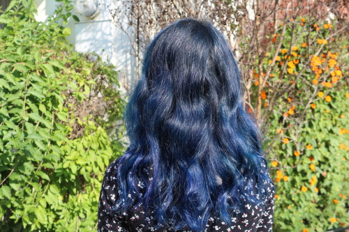 4. "Ash Blue Hair Care Tips on Tumblr" - wide 5