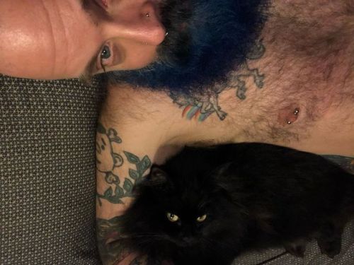 Sweet Sleeps #kage #catsnbeards #misterfaggot #lookslookslooks ...