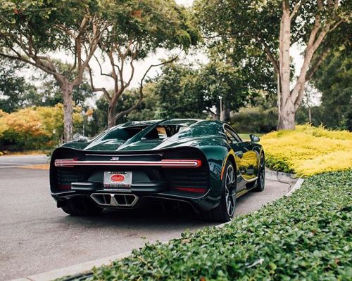 alexpenfold:Some bumpers, featuring a Chiron. #moregreencarbon...