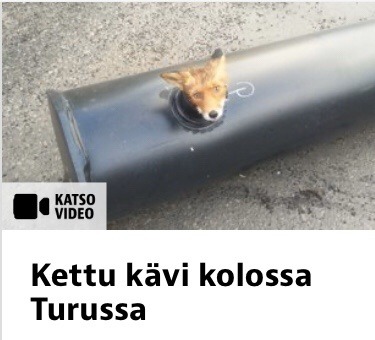 juu