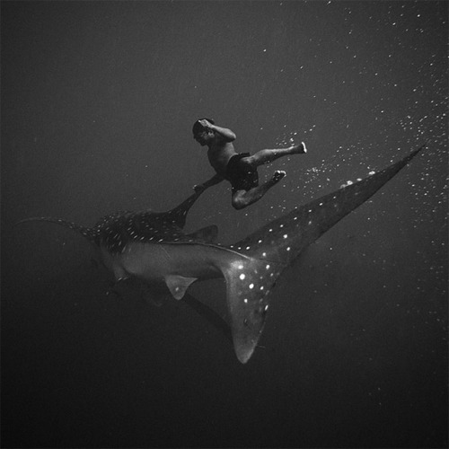 Indonesian photographer Hengki Koentjoro takes some pretty fantastic photos above water, but his underwater photos are made extra magical
