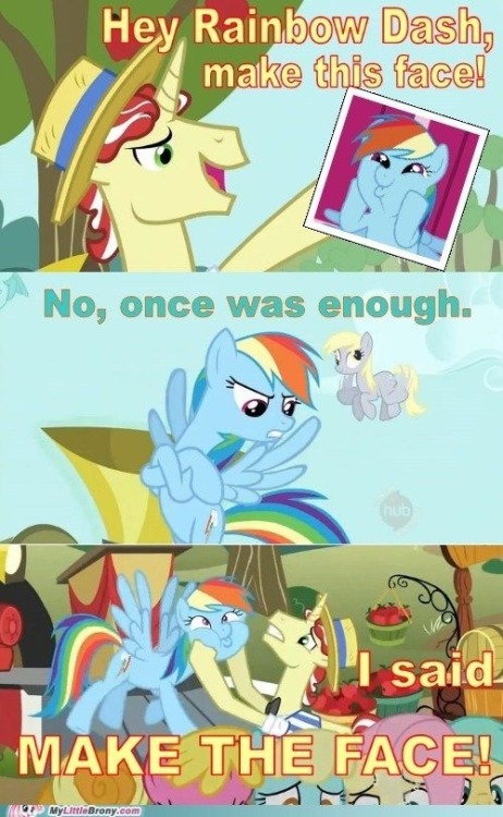 @Mlp Everything