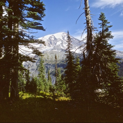 robertalanclayton:Mount Rainier, Washington, RA Clayton