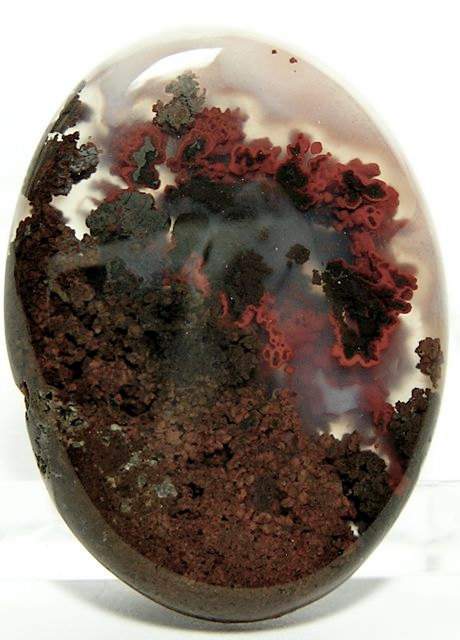 mineralists:
“Red Plume Moss Agate Stone Cabochon
”