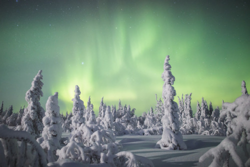 tiinatormanenphotography:Winter magic. Lapland, Finland.by...