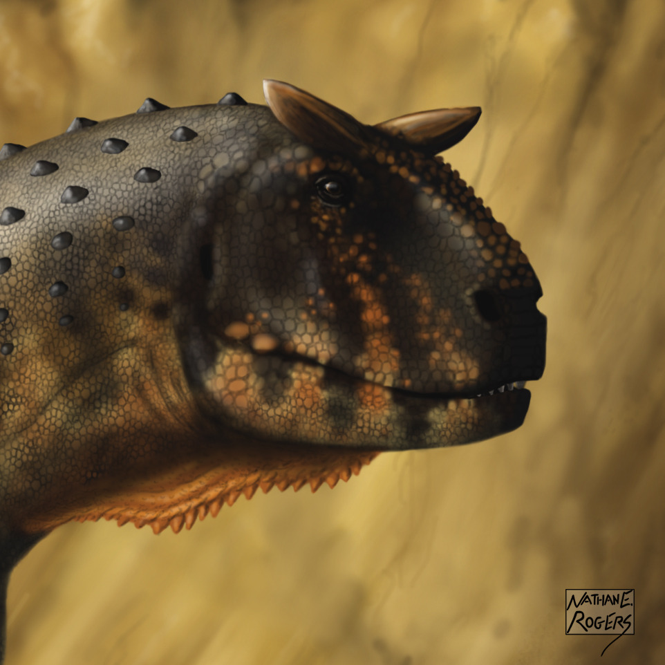 abelisaurid theropod