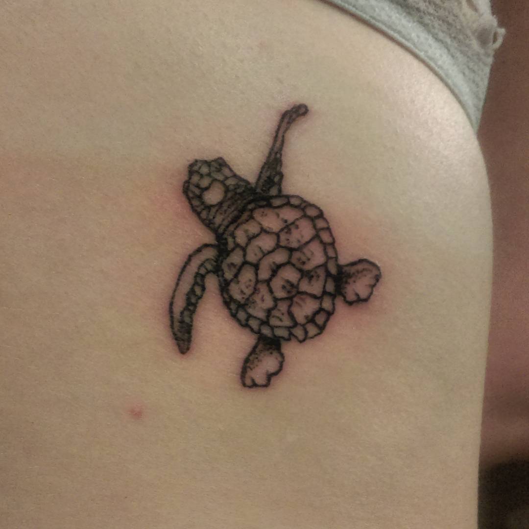 Mel Dredd — Baby sea turtle #cute #tattoo #tattooforgirls...