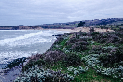 leaberphotos:winter rains in california ( jan 2016 )