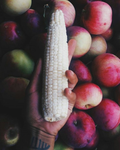 ambertamm:my year in produce; planted and grew and harvested so...