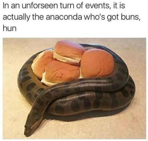 memehumor:Who’s got buns?