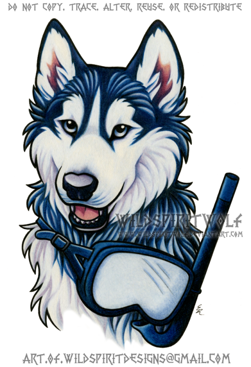 artofwildspiritdesigns