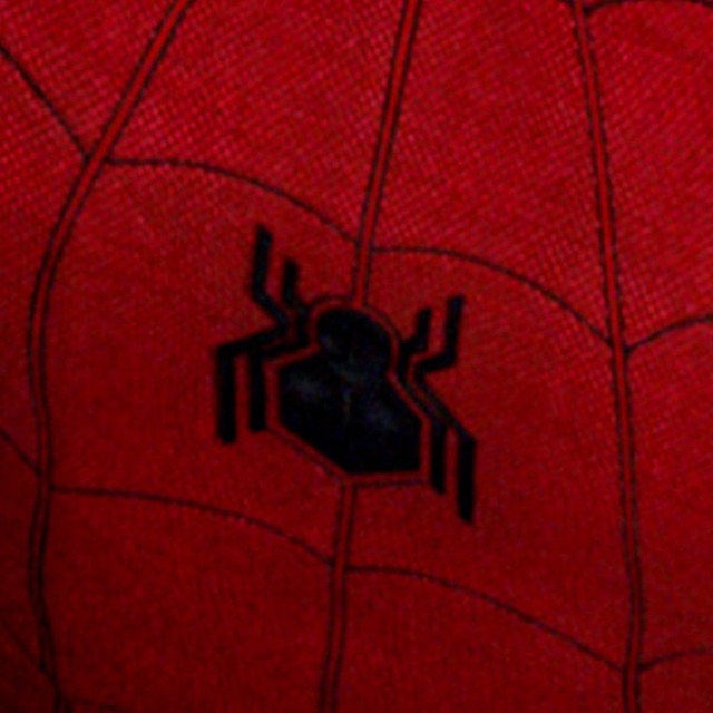 Spider-Man logo.