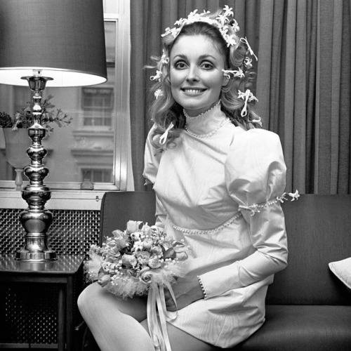 60s american actress and model Sharon Tate in her wedding dress.